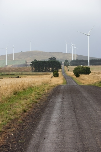 Country road leading through a wind farm
