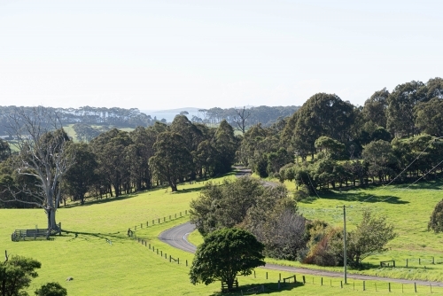 country road running through rolling green pastures - Australian Stock Image