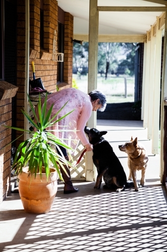 Country woman on verandah with her two doge - Australian Stock Image