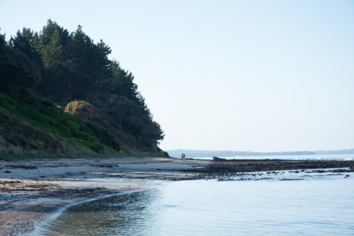 Couple walking on beach at late afternoon on calm day - Australian Stock Image