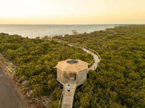 Cowell mangrove boardwalk from above air - Australian Stock Image