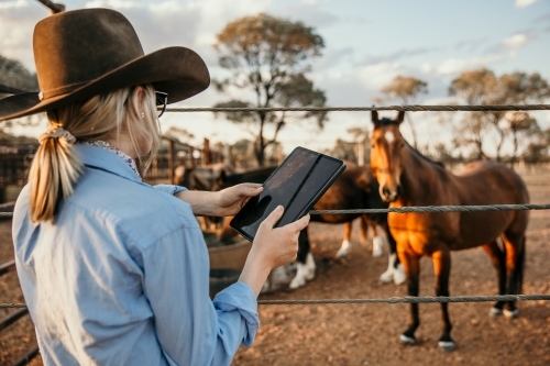 Cowgirl holding iPad looking at horses in a yard - Australian Stock Image