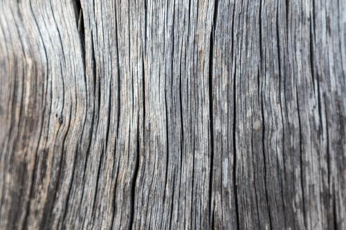 Cracked and weathered timber texture - Australian Stock Image