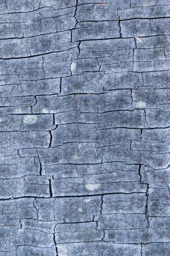 Cracked and weathered timber texture - Australian Stock Image