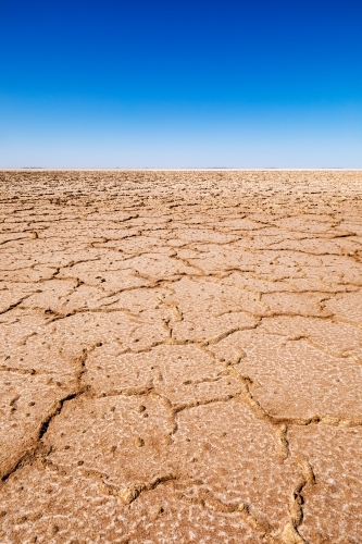 cracked dry lake bed vertical - Australian Stock Image