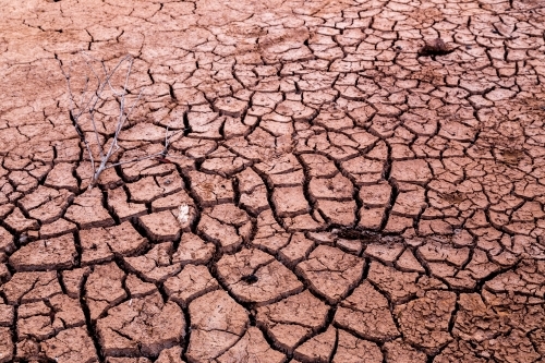 Cracked earth - Australian Stock Image