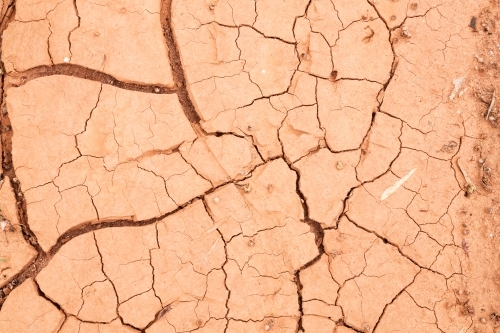 Cracks in dried mud - Australian Stock Image