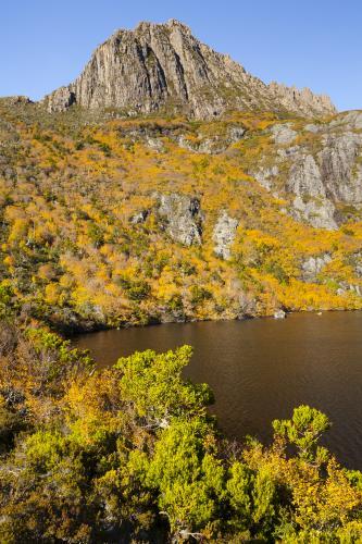 Cradle Mountain from Lake Wilks - Australian Stock Image