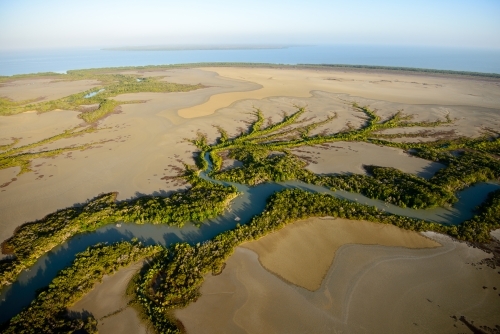 Creek flowing through mangroves at sunrise with golden light - Australian Stock Image