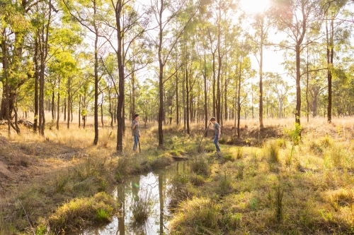 creek winding through paddock with two Aussie kids playing nearby walking around with big sticks - Australian Stock Image
