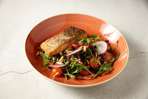 Crispy fried salmon with salad in bowl - Australian Stock Image