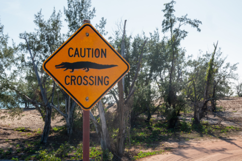 Crocodile crossing road sign - Australian Stock Image
