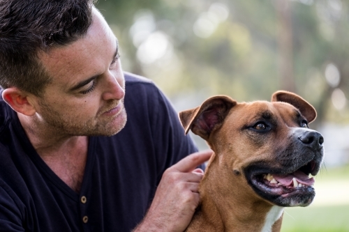 Cross breed large Dog and male owner sitting behind looking at dog - Australian Stock Image