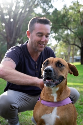 Cross breed large Dog and male owner sitting behind looking at dog - Australian Stock Image