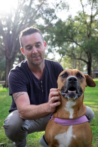 Cross breed large Dog and male owner sitting behind looking at dog - Australian Stock Image
