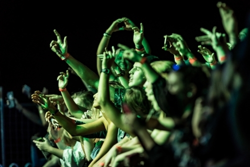 crowd at festival