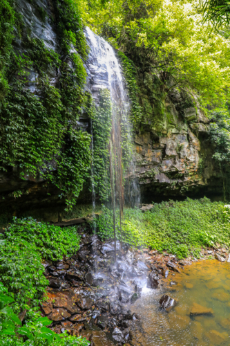 Crystal Shower Falls in Dorrigo National Park in New South Wales, Australia. Scenic rainforest - Australian Stock Image