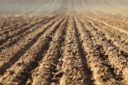 Cultivated soil - Australian Stock Image