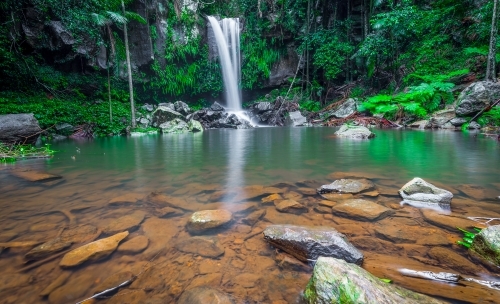 Waterhole in rainforest with waterfall and rich green plant life