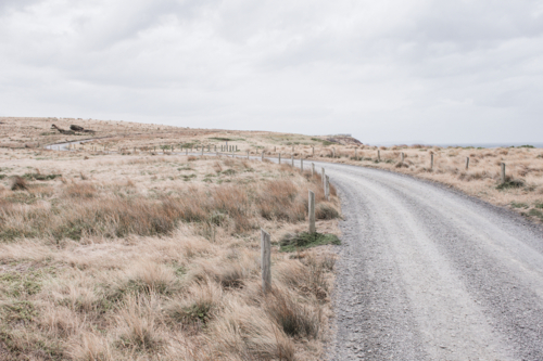 Curving, gravel track with posts and dry, summer grasses - Australian Stock Image