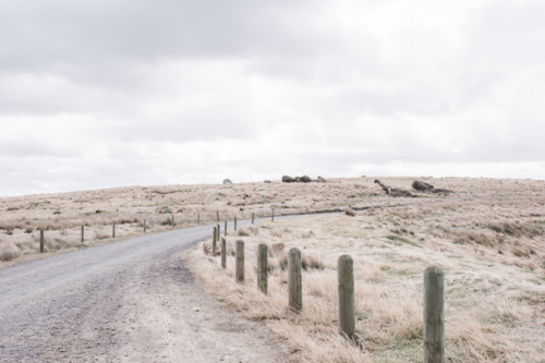 Curving, ravel track with posts and dry, summer grasses - Australian Stock Image