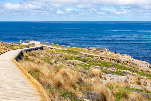 Curving Wooden Boardwalk with Tourists Overlooking the Ocean at Admirals Arch on Kangaroo Island - Australian Stock Image