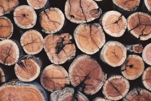 Cut wood logs, stacked on top of each other. - Australian Stock Image
