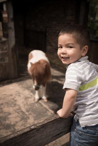 Cute 2 year old mixed race boy plays on a fence in an animal stable - Australian Stock Image