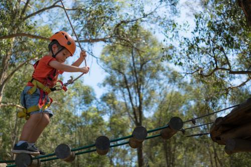 Cute 3 year old mixed race boy plays on an adventure ropes course - Australian Stock Image