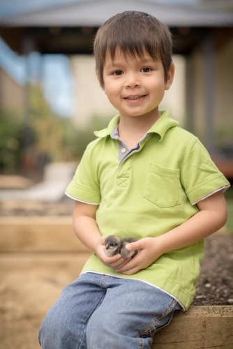 Cute boy holding his pet chicken in the backyard of his suburban home - Australian Stock Image