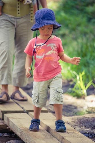 Cute mixed race little boy bushwalking on the Warrumbungles National Park Nature Trail - Australian Stock Image