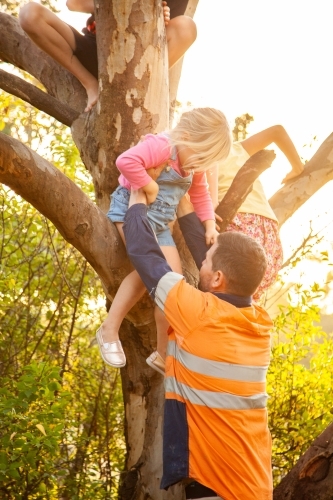 Dad helping children climbing a gum tree - Australian Stock Image
