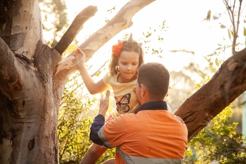 Dad helping children climbing a gum tree - Australian Stock Image