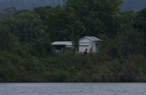 Dairy bale - shed by the river - Australian Stock Image