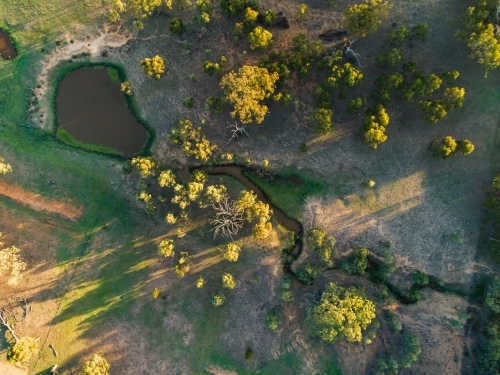 Dam and creek in farm paddock with trees touched by the morning light - Australian Stock Image