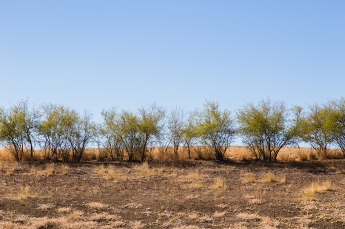 Dam bank - Australian Stock Image