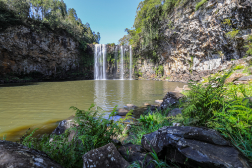 Dangar Falls flowing into pool in Dorrigo, New South Wales, Australia. Scenic natural landscape - Australian Stock Image