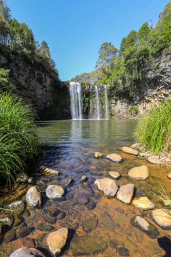 Dangar Falls flowing into pool in Dorrigo, New South Wales, Australia. Scenic natural landscape - Australian Stock Image
