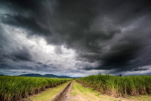 Dark storm clouds over the clearing of cane fields - Australian Stock Image