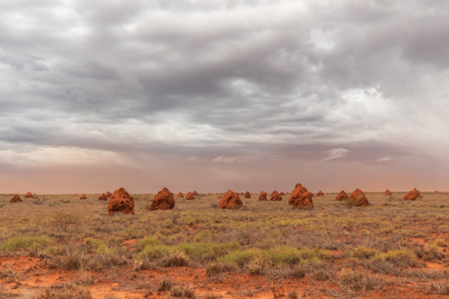 Dark stormy sky over termite mounds near Onslow at the commencement of Cyclone Sean - Australian Stock Image