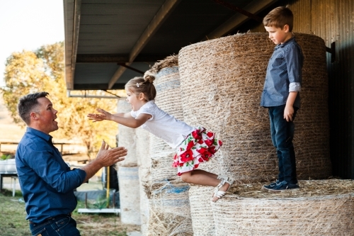 Daughter jumping off hay bales into fathers arms - Australian Stock Image