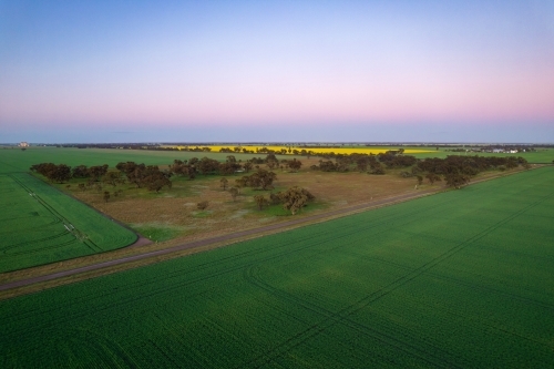 Dawn colours of the sky looking over the Mallee crops. - Australian Stock Image