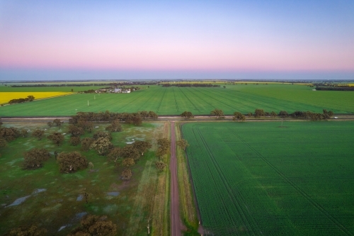 Dawn colours of the sky looking over the Mallee crops. - Australian Stock Image