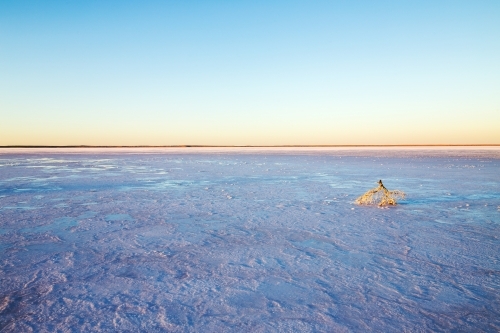dawn light over dry salt lake - Australian Stock Image