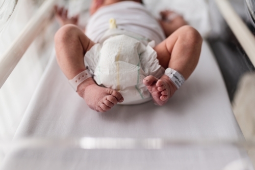 Day old newborn baby in hospital cot - Australian Stock Image