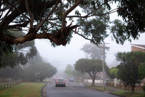 dense fog in the suburbs - Australian Stock Image