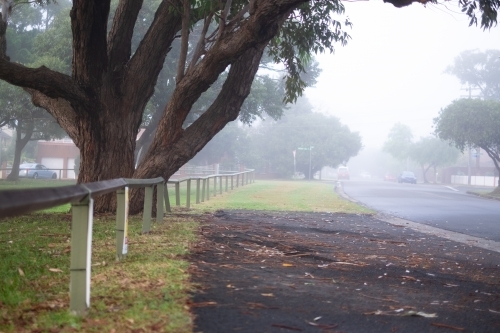 dense fog in the suburbs - Australian Stock Image