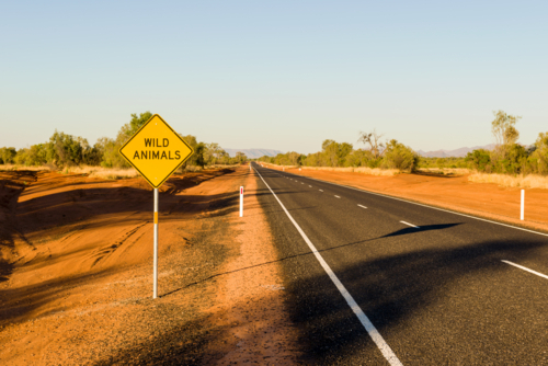 Desert highway with warning sign for wild animals near the Plenty Highway. - Australian Stock Image