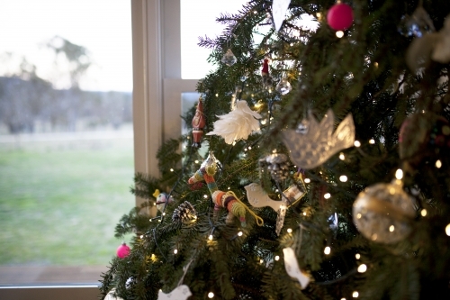 Detail of Christmas tree with decorations in front of a window - Australian Stock Image