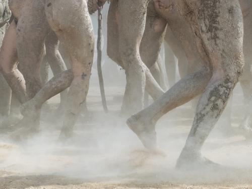 Detail of group of muddy legs dancing at a festival